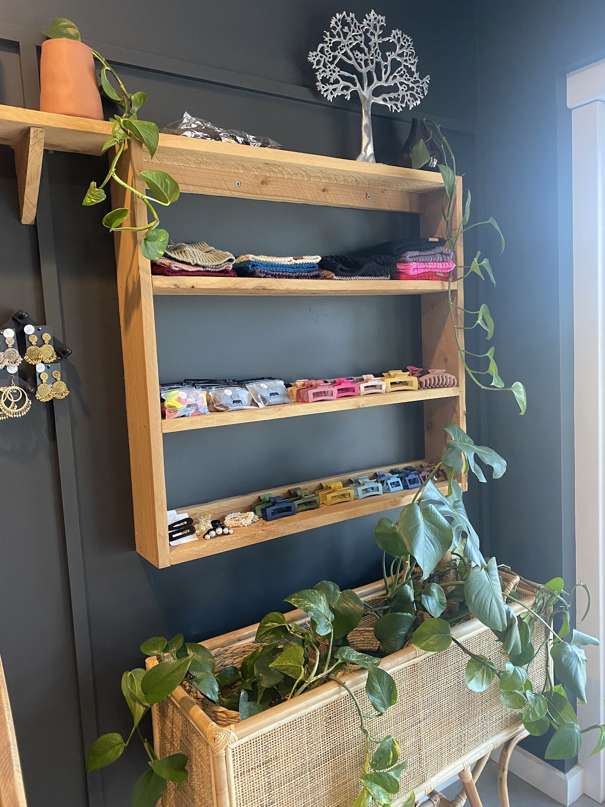 Retail shelves with hair care products and trailing plants